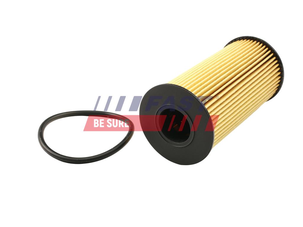 FT38031 OLEJOVÝ FILTER RENAULT KANGOO III 21> 1.5 BLUEDCI