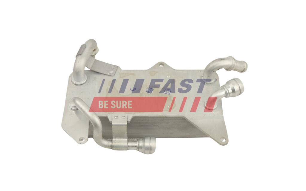 FT01013