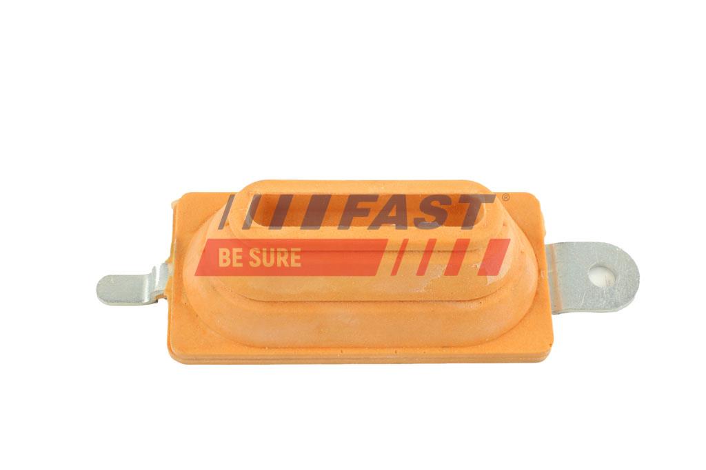 FT18119